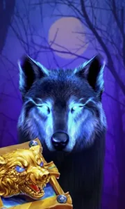 Book Of The Night Wolf